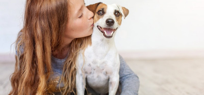 Can a Dog Thrive Living in Two Separate Homes? Expert Insights.