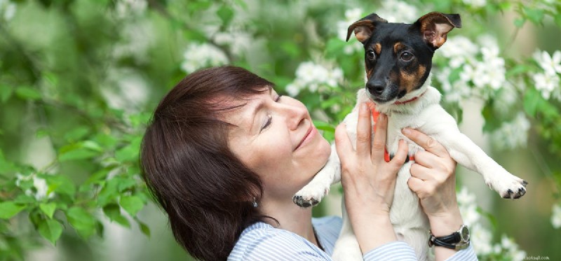 How Dogs Can Coexist with Stick Insects: A Safe Interaction Guide