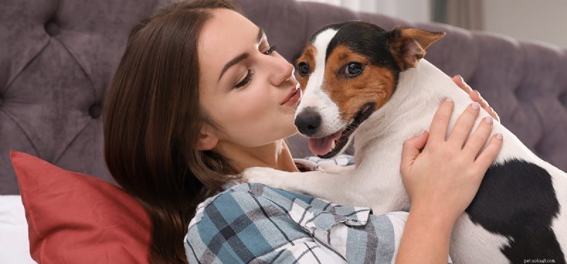 Can Dogs Spread Illness? Understanding Pet-to-Human Disease Transmission