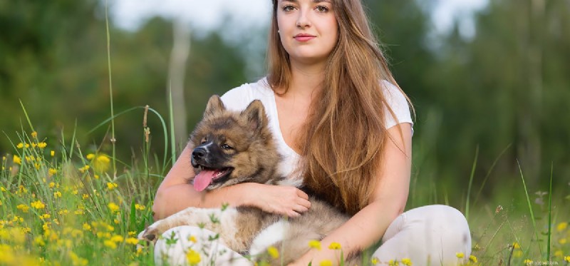 Can Dogs Detect Pregnancy Early? Exploring Their Remarkable Sensing Abilities