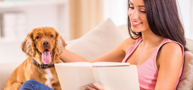 Do Dogs Really Learn to Read? Understanding Word Recognition vs Comprehension