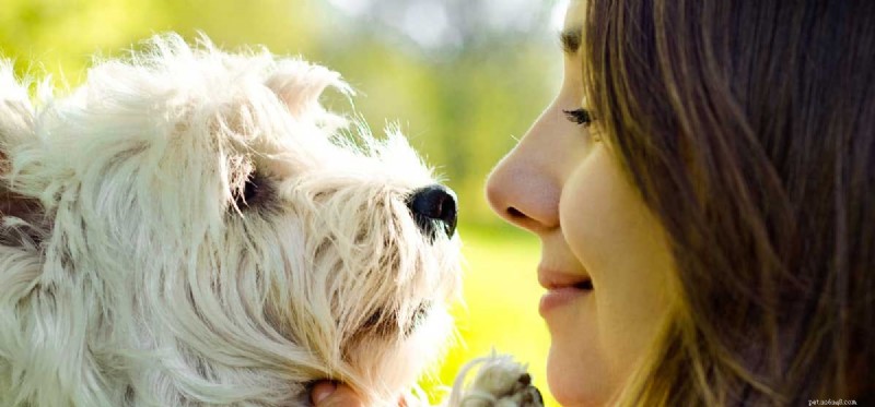 Can Dogs Truly Recognize Human Faces? The Science Behind Their Eye for Your Face