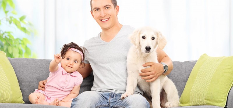 How Dogs Recognize Their Human Family Members