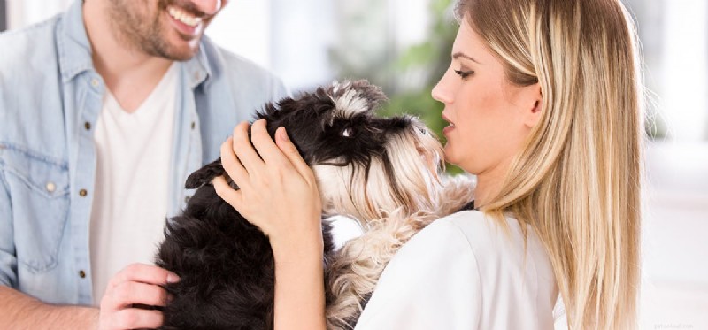 Do Dogs Truly Recognize Their Owners? A Scientific Perspective