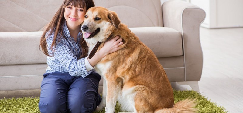 Do Dogs Truly Recognize Their Owners? A Scientific Perspective