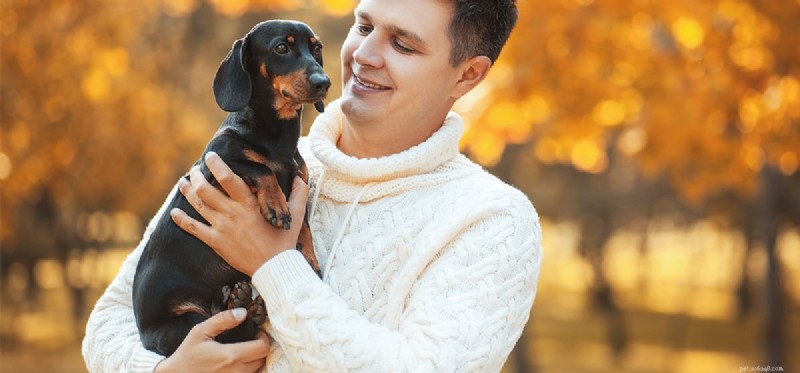 Can Dogs Recover from Lyme Disease? Expert Guide to Diagnosis, Treatment, and Recovery