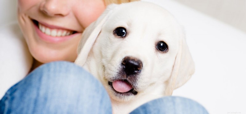Do Dogs Remember Human Voices? New Insights into Their Listening Skills
