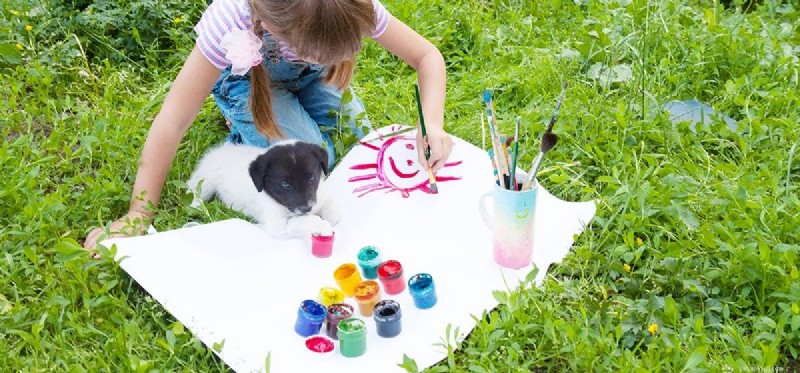 Do Dogs Really See Color? Debunking the Myth