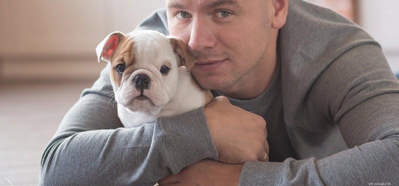Can Dogs Detect Human Anger? Insights into Canine Emotional Perception