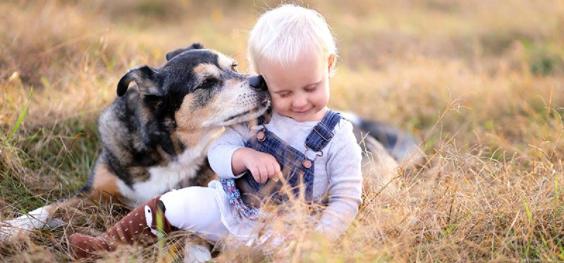 Do Dogs Detect Pregnancy? How Canines Sense Expectant Mothers