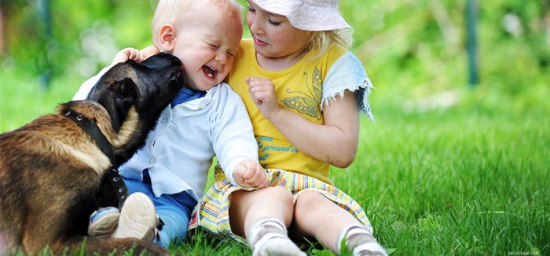 Do Dogs Detect Pregnancy? How Canines Sense Expectant Mothers