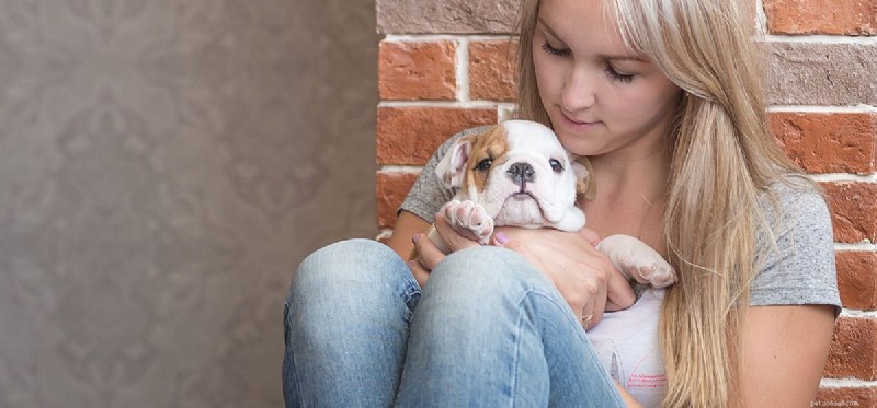 Do Dogs Truly Sense When You Cry? Understanding Their Emotional Insight