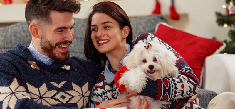 Do Dogs Truly Sense When Family Members Arrive Home?