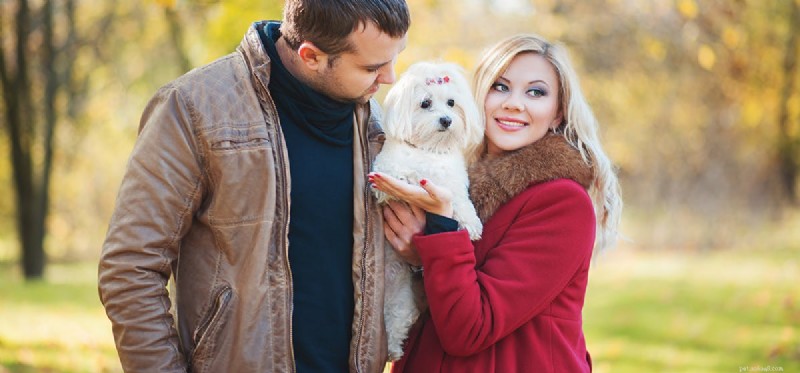 Do Dogs Detect Honesty and Deception? Insights into Canine Perception