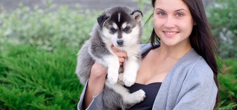 Can Dogs Truly Sense Your Love? A Deep Dive into Canine Perception