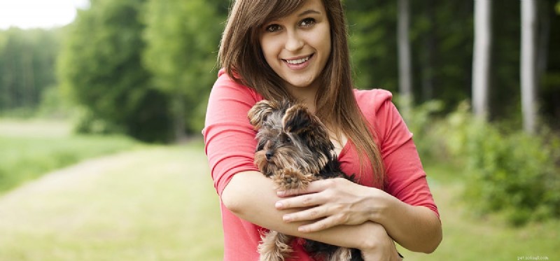 Do Dogs Truly Sense Love? Scientific Insights and Real-World Evidence