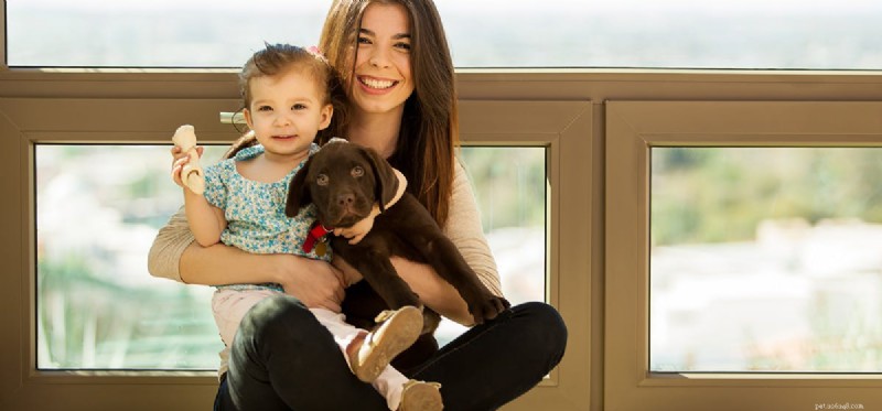 Do Dogs Truly Sense Love? Scientific Insights and Real-World Evidence