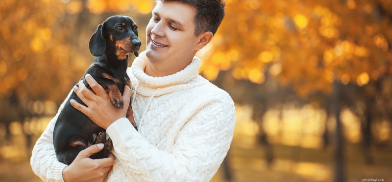 Do Dogs Really Detect Natural Disasters? Exploring the Science Behind Their Alleged Sixth Sense
