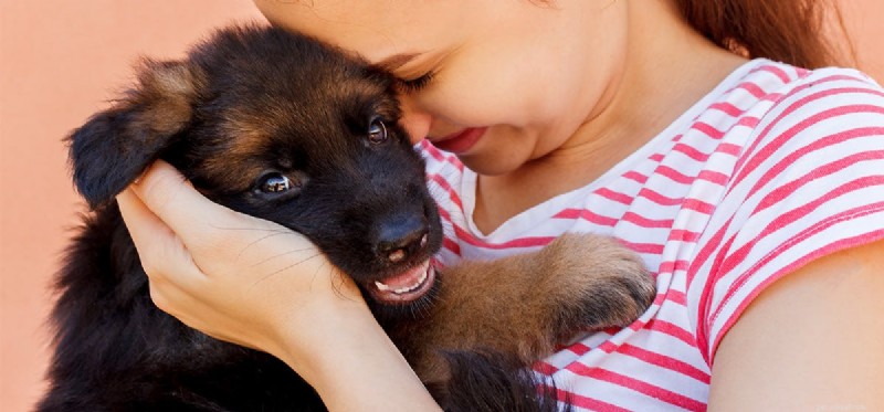 How Dogs Detect Human Tension: Unveiling Their Emotional Sensitivity