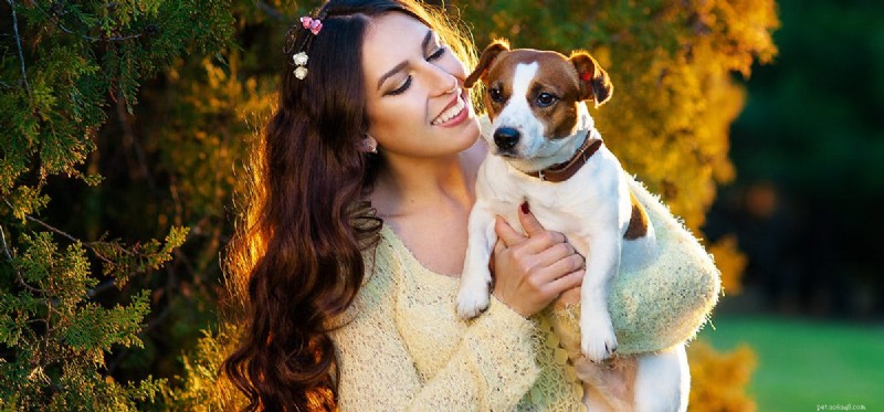 Do Dogs Detect Adrenaline? Unveiling Their Powerful Olfactory Skills