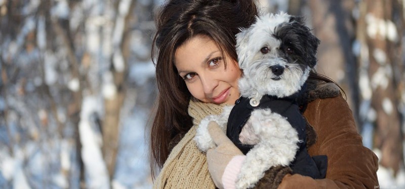 Can Dogs Smell Better Than Humans? A Scientific Examination