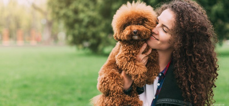 Do Dogs Detect Cancer Through Smell? A Scientific Review