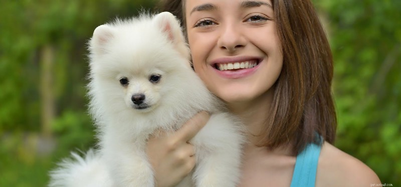 Do Dogs Detect Cancer Through Smell? A Scientific Review