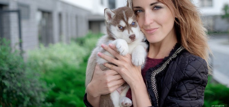 Can Dogs Detect DNA? Exploring Their Incredible Smell Power