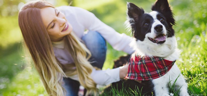 How Dogs Detect Female Hormone Changes Using Their Super Sense of Smell