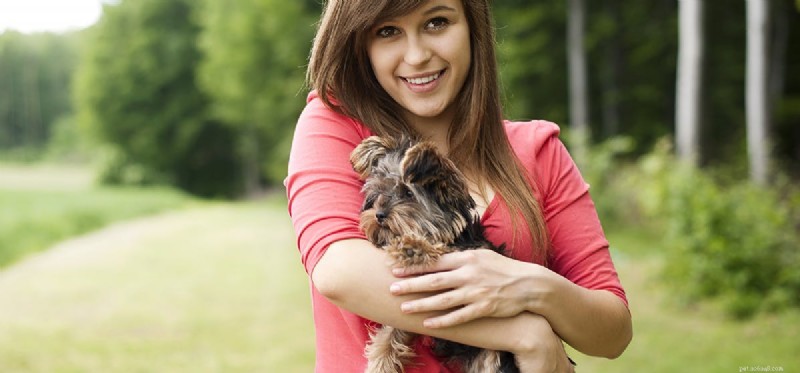 Can Dogs Detect Food Inside Your Stomach?