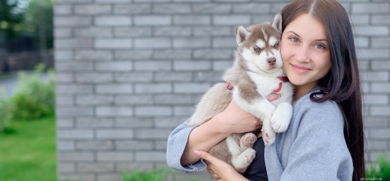 Can Dogs Detect Food Inside Your Stomach?