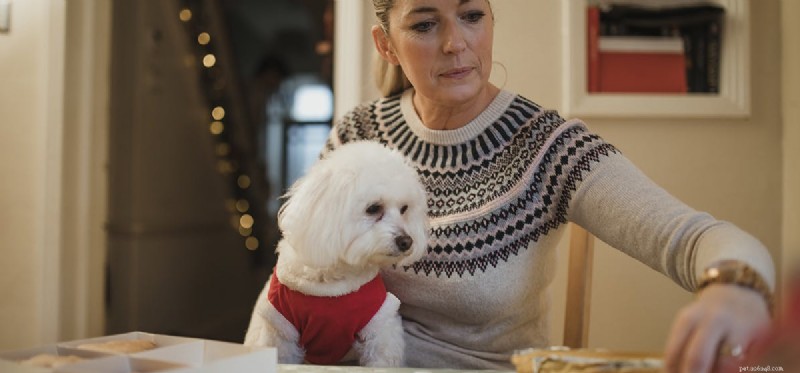 Can Dogs Detect Ovarian Cancer? Exploring the Science Behind Canine Cancer Scent Detection