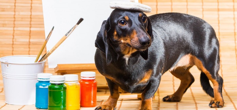 Is Your Dog Curious About Paint? How to Keep Them Safe While You Paint