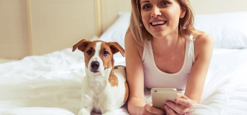 Can Dogs Detect Xanax? Expert Insight on Sniffer Dog Capabilities