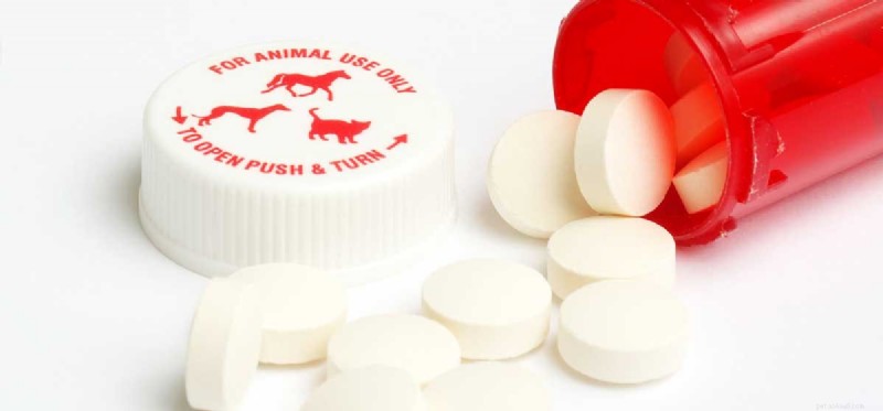 Is Aspirin Safe for Dogs? A Veterinarian’s Guide