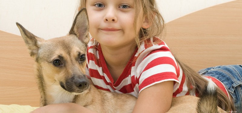 Is Almond Milk Safe and Beneficial for Dogs?
