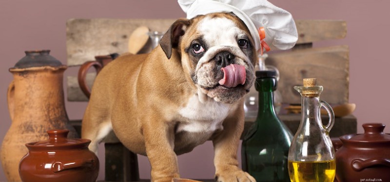 Do Dogs Detect Spice Flavors? A Guide to Safe Seasoning for Pets
