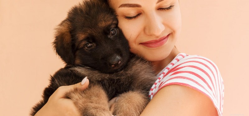 Can Dogs Discern a Person s Character?