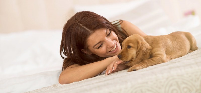 Can Dogs Detect When You’re Ill? Exploring Their Sensory Awareness