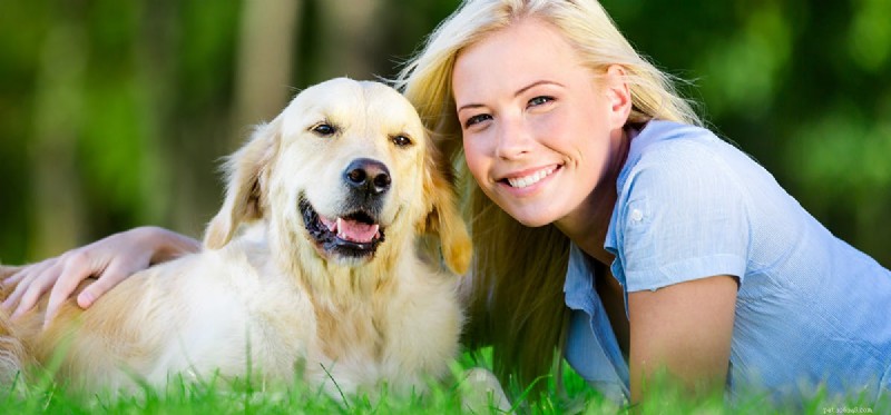 Do Dogs Detect Depression? Understanding Canine Insight into Human Mood