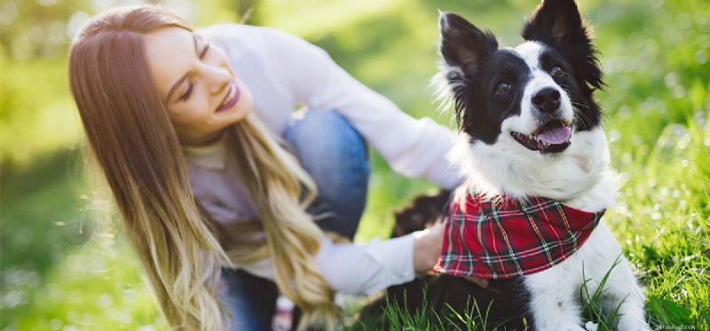 How Dogs Detect Your Sadness and Offer Comfort