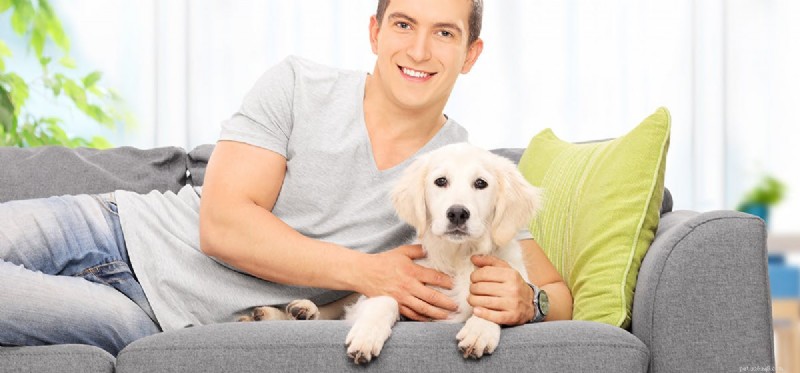 Do Dogs Detect When You re Angry?