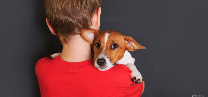 Do Dogs Understand English? Insights into Canine Language Comprehension