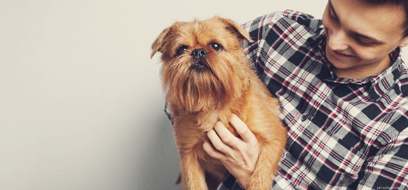 Do Dogs Think Like Humans? Exploring Canine Cognition