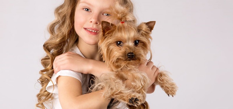 Do Dogs Truly Understand Affection? Insights into Canine Emotional Perception