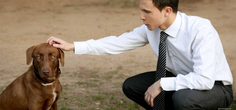 Do Dogs Truly Understand Us? Unpacking Canine Communication