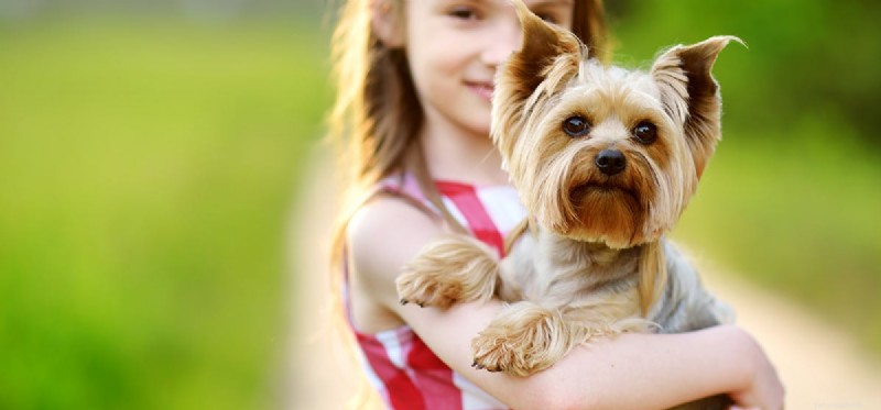 Do Dogs Really Understand Their Names? The Science Explained