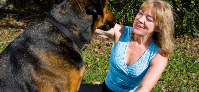 Do Dogs Truly Understand the Words You Say?