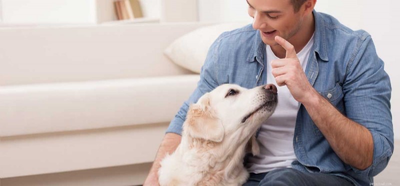 Do Dogs Truly Understand the Words You Say?