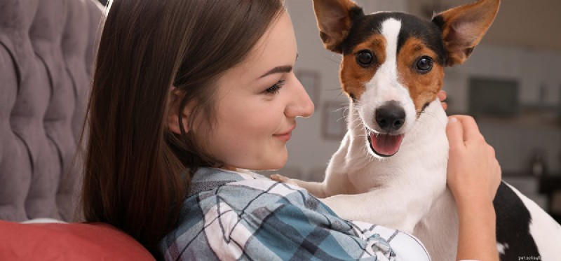 Can Your Dog Detect When You re Sick? How Pets Spot Illness